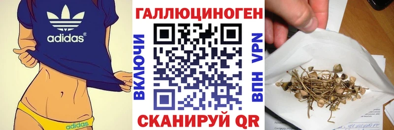 mega ТОР Муравленко Псилоцибиновые грибы мицелий